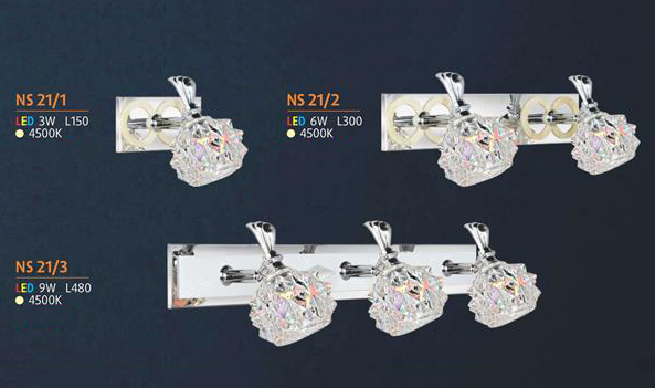 NS 21/1