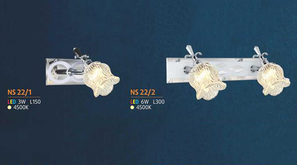 NS 22/1