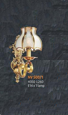 NV 500/1
