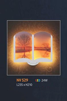 NV 529