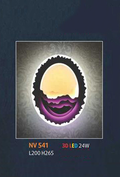 NV 541