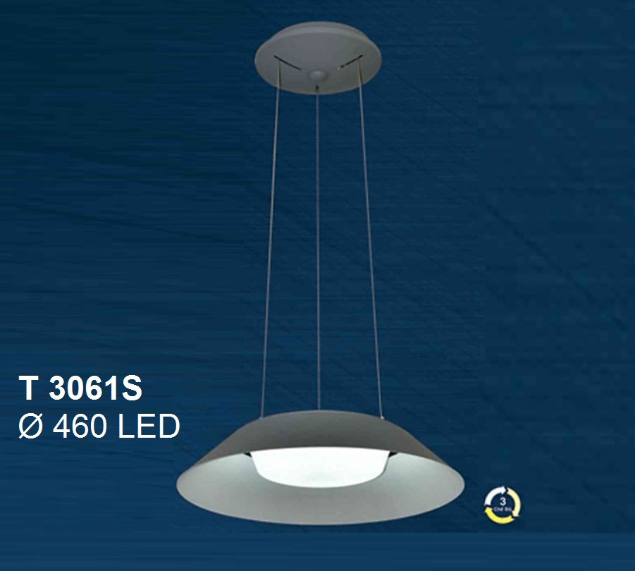 Đèn thả LED trang trí t 3061s
